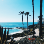 Agave Beach Los Angeles